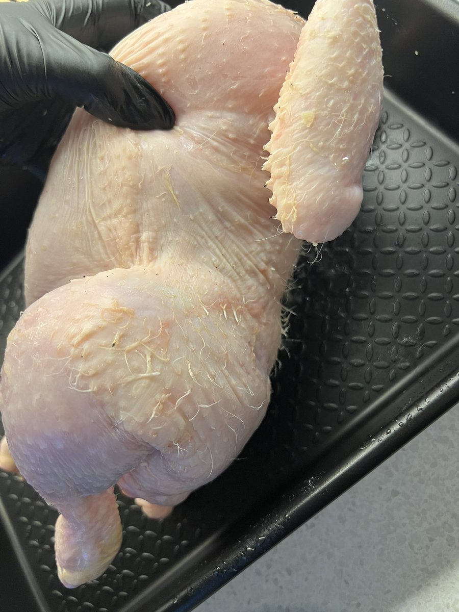 Sam Gill tweet media