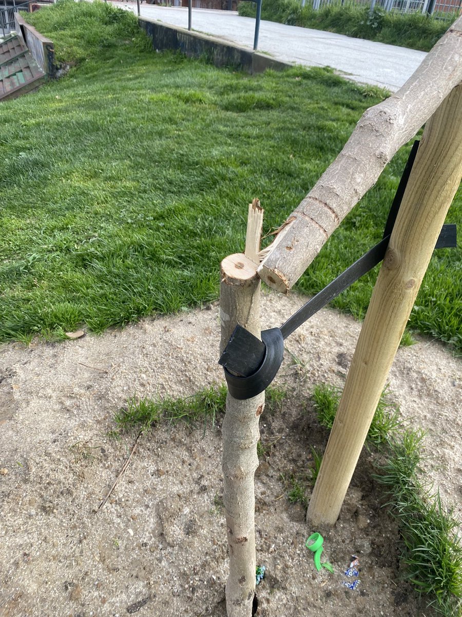 Turriturri135's tweet photo. ¿Los vecinos del Parque Eugenia de Montijo tenemos que soportar esto?
Esta vez pusieron tres arboles nuevos y les molestaban para sentarse a ver el futbol y los han cortado con una sierra. @salvemoseugenia @avocesdecaraban @SOSCarabanchel @JMDCarabanchel @ArbolMesa https://t.co/0jk9TUKMak
