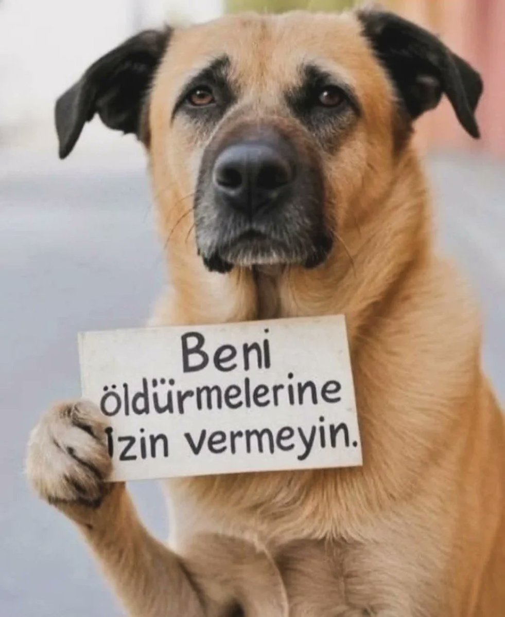 ugursarac0276's tweet photo. #AymYasayıİptalEt https://t.co/NsvGGSc6e6