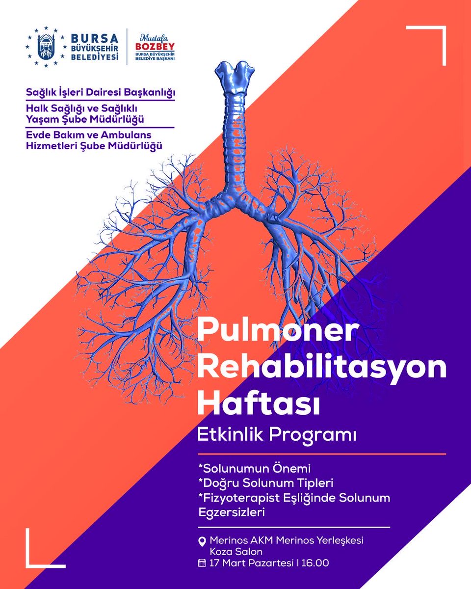 Düşünsel Şentürk (@dusunselsenturk) on Twitter photo 