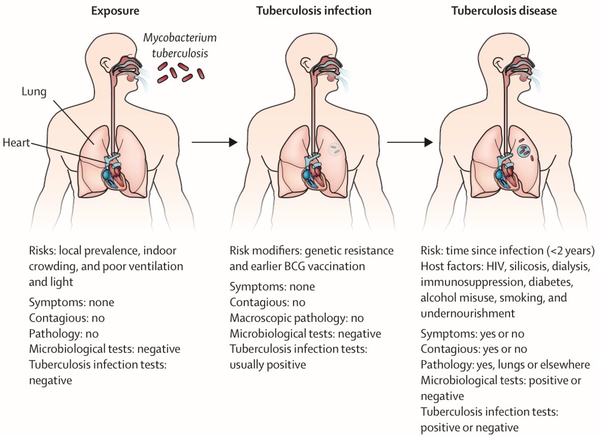 Medicina Interna | CMNO tweet media