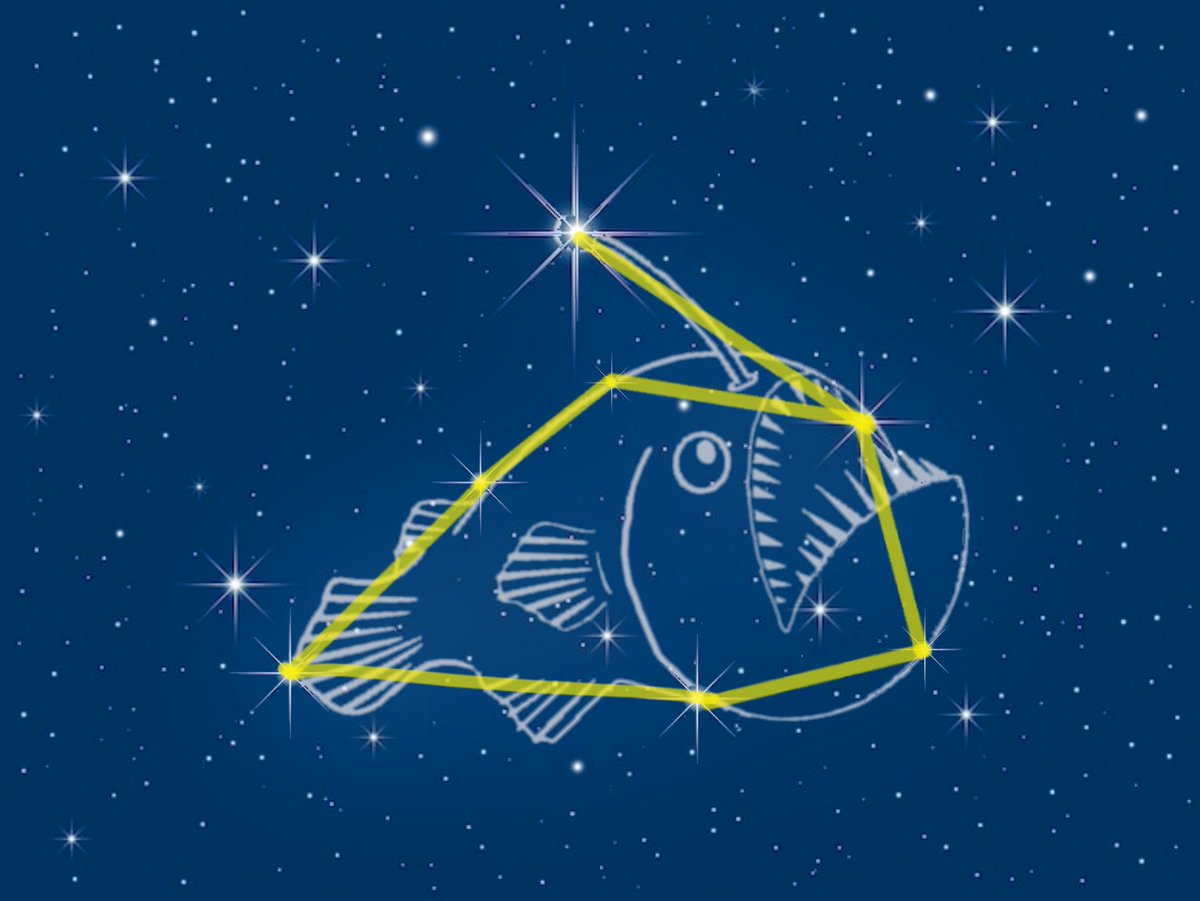 johnsinator's tweet image. Be the light that guides others.  #anglerfish 

DjgujfEv2u2qz7PNuS6Ct7bctnxPFihfWE2zBpKZpump