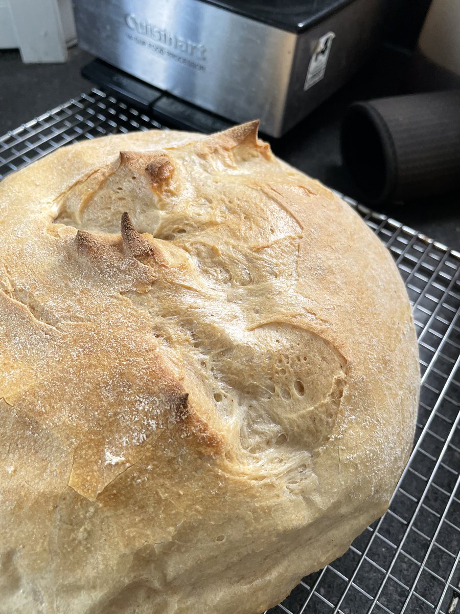 Captgccs's tweet image. Sour Dough - bread & whole wheat flour, water, starter, mix. 60m rest stretch and turn. 30m rest stretch & turn, 30m rest and form. Rise 45, bake @ 480, in a dutch oven. 18 minutes remove cover, bake 20 more.
FORGOT THE SALT! @LaurenGruel