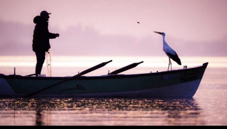 Dostluk, Vefakarlık ve Arkadaşlık konusunda örnek bir hikaye yazan Adem Yılmaz Bey’i kutluyorum. Çevre ve Şehircilik Bakanlığı Yaren Çevre Ödülü adıyla bir ödül ihdas etmeli ve ilkini balıkçı Adem Yılmaz’a vermelidir. 
Her yıl bu tür örnek davranışlar ödüllendirilmelidir