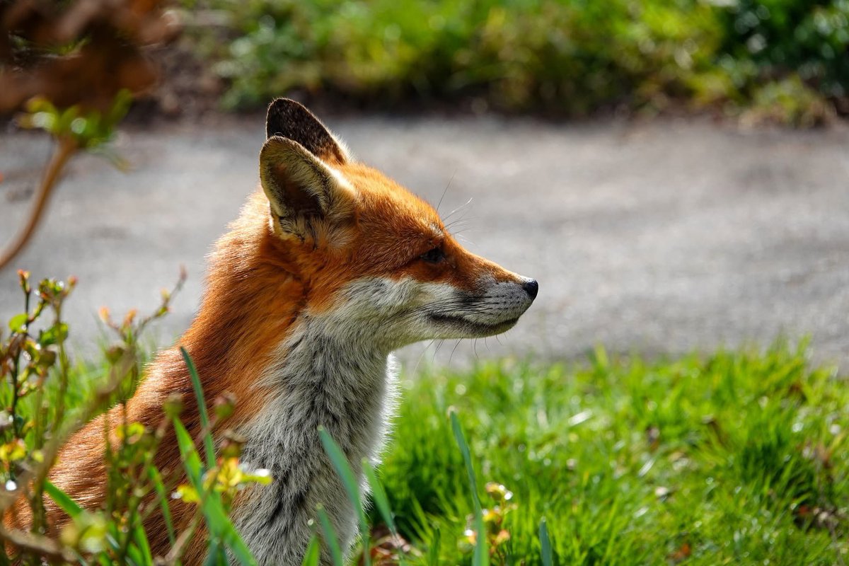 Annette parish tweet media