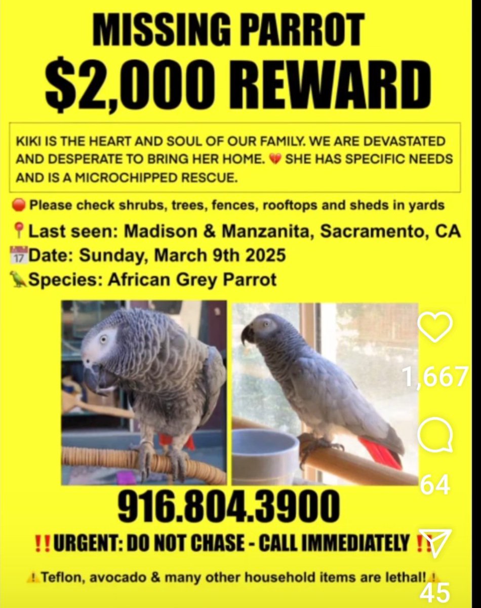 MissedTag . bsky . social tweet media