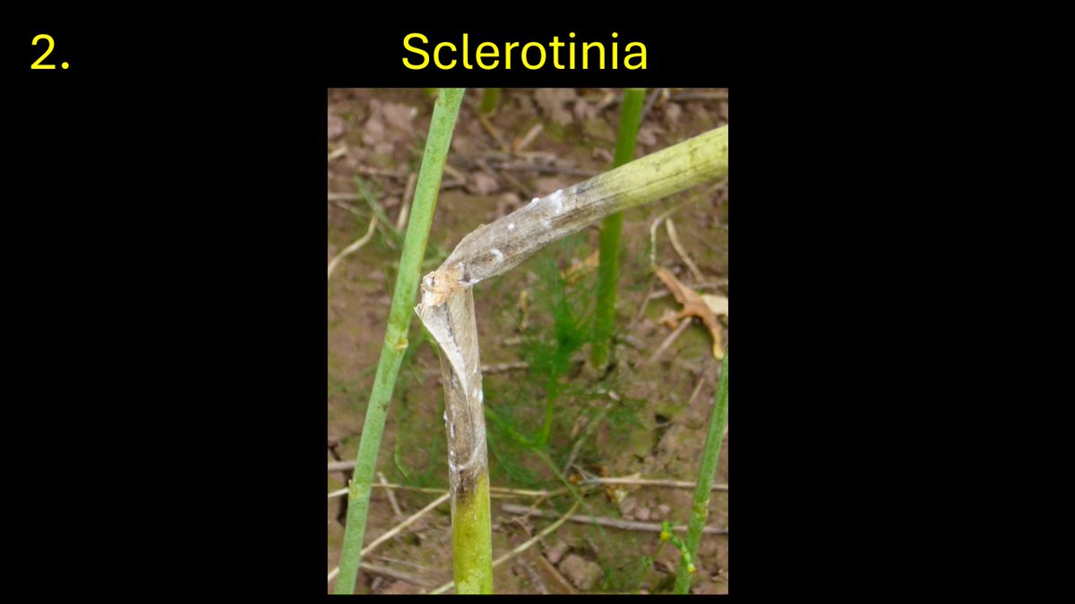 Simon Goodger tweet media