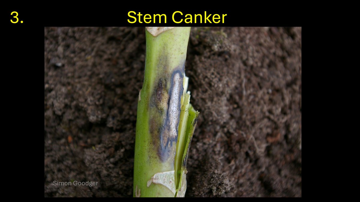 Simon Goodger tweet media