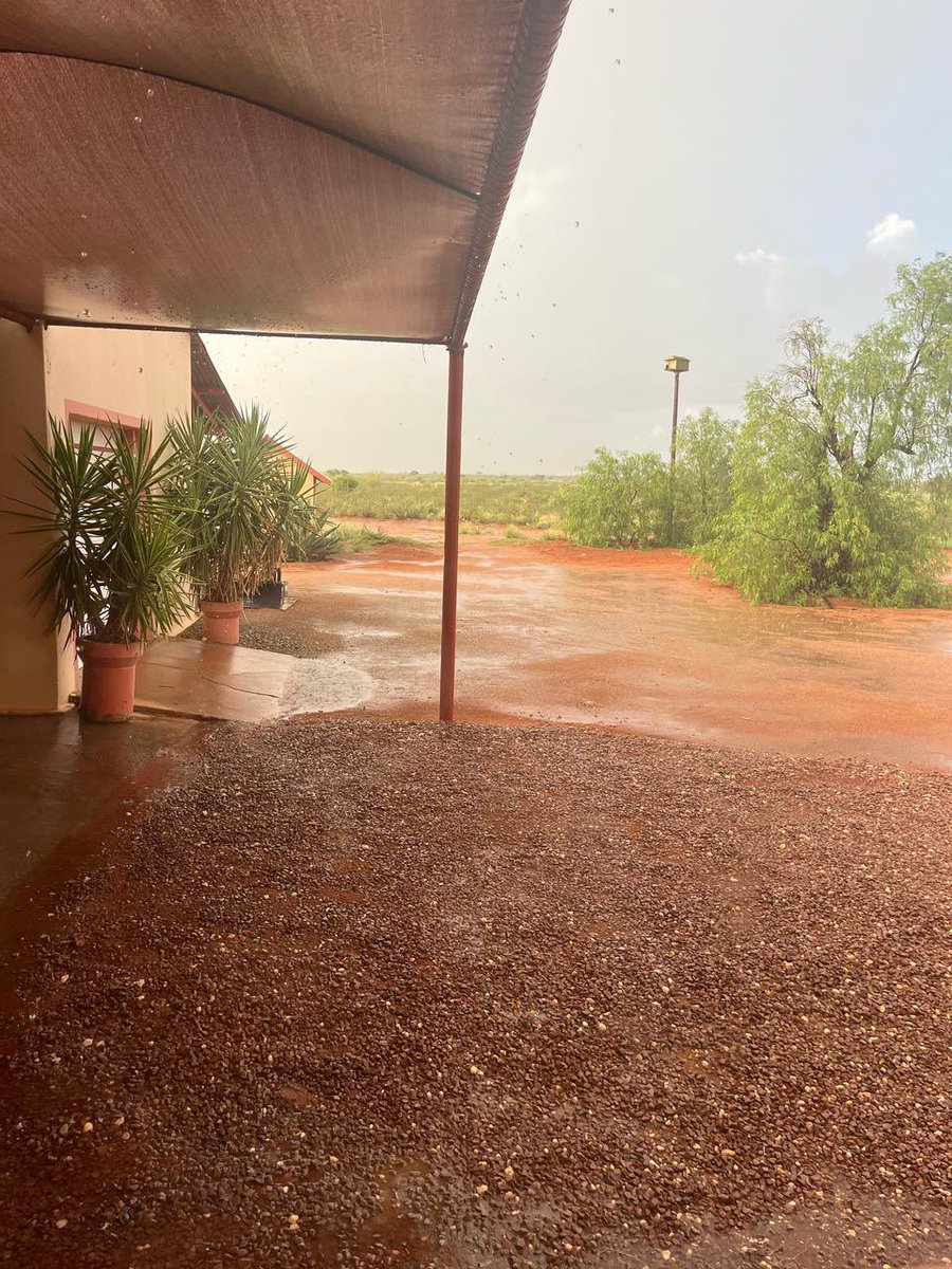 Surethaplaas's tweet photo. Dankbaar …. Geseën… genade…..#Geelkoppan #somer #noordkaap -#rain #photography https://t.co/6K7ltHYBJL