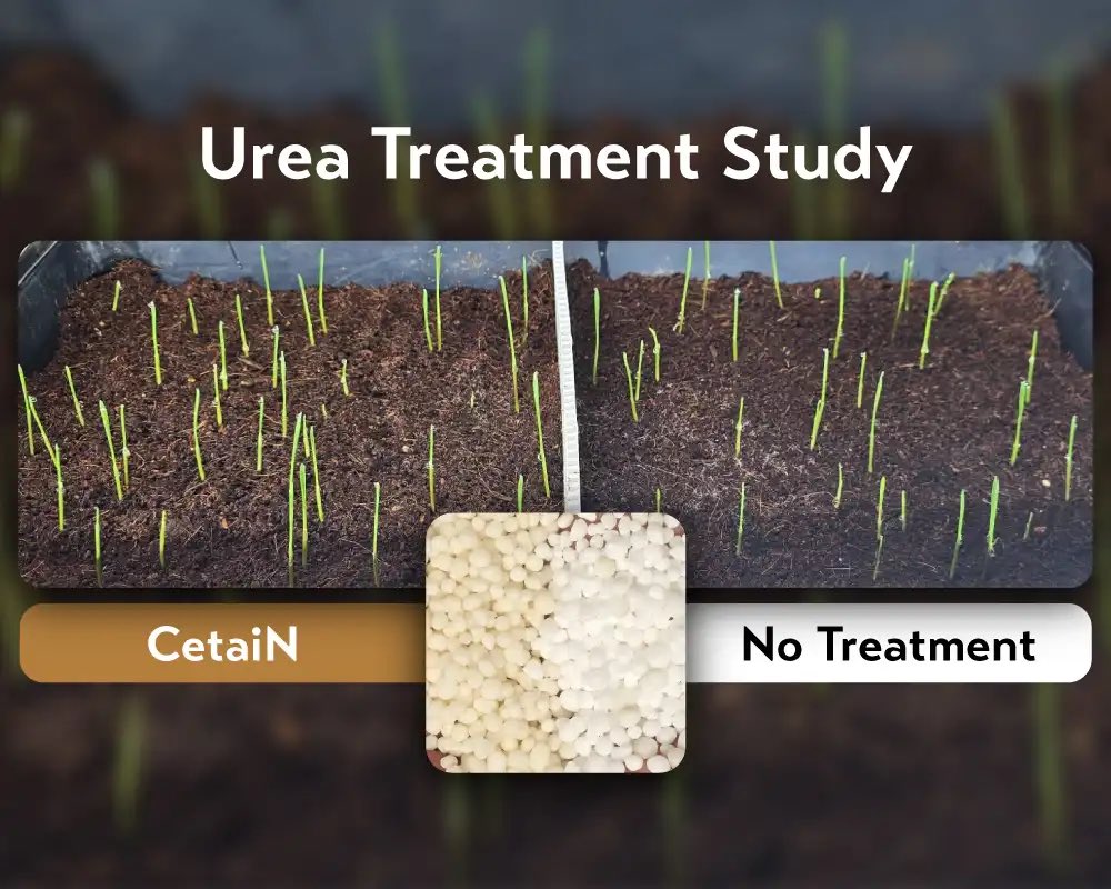CetaiN™️ Enhances seed germination and emergence