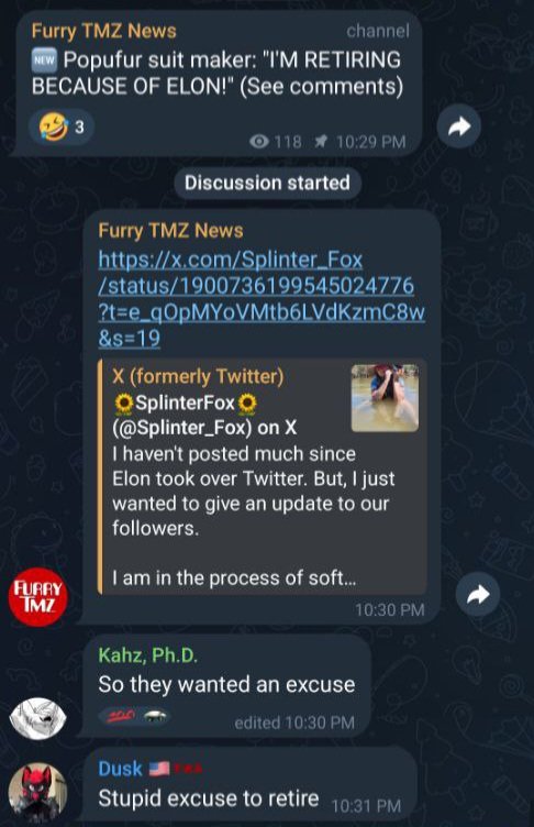 🌻SplinterFox🌻 tweet media