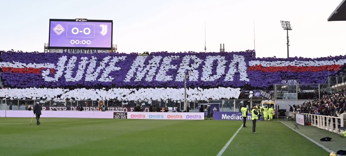 _SimoViola_'s tweet photo. 💜 https://t.co/khY06VgtT8