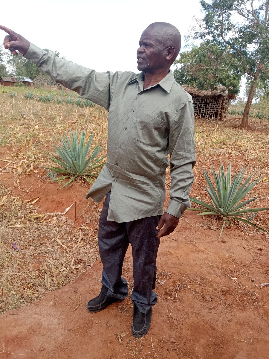 AbeidHoza's tweet photo. Mshua ananionyesha mpaka kijijini https://t.co/6jfcM7SklZ