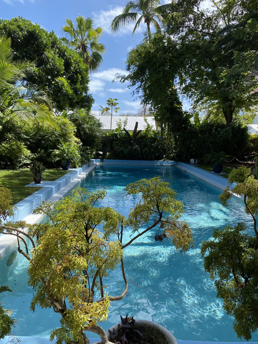 Nikehead33's tweet photo. @vnds24 This is mine, Ernest Hemingway’s pool https://t.co/6ksOQrLtbv