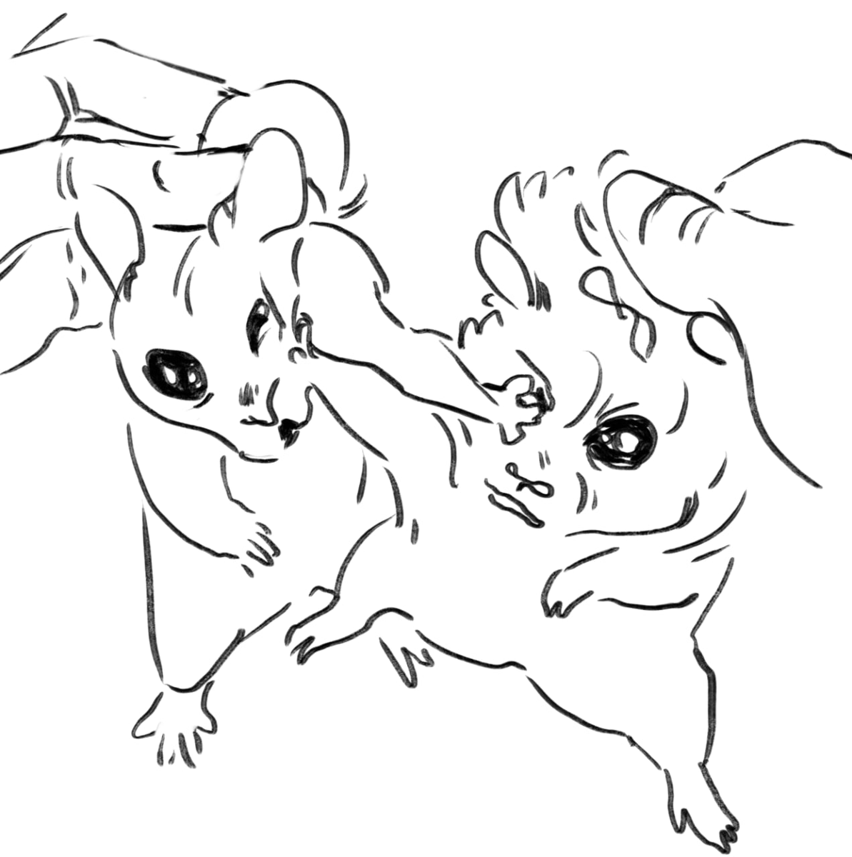 Friday sketches, today I wanted to draw animals :3