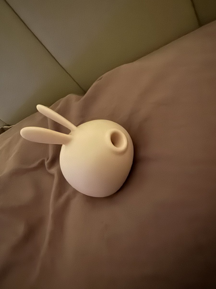 明天起我不要做懒狗了 
我要努力拍照努力更新（虽然我说了一万次了
附一张 我的助眠神器 晚安啦