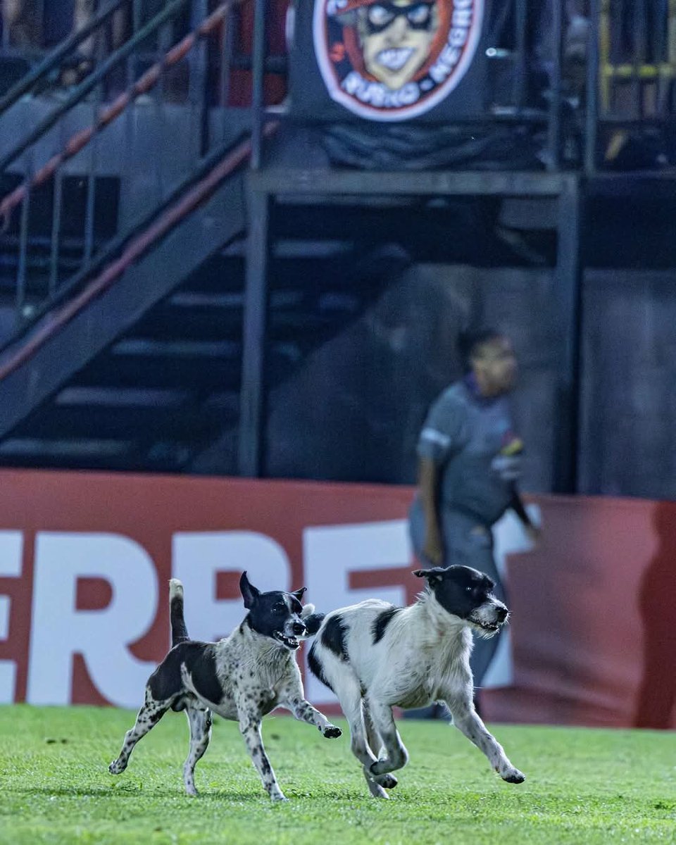 xavantche_'s tweet photo. Essa dupla joga mais bola que 90% do elenco do Brasil. https://t.co/8ndpy6N4u8