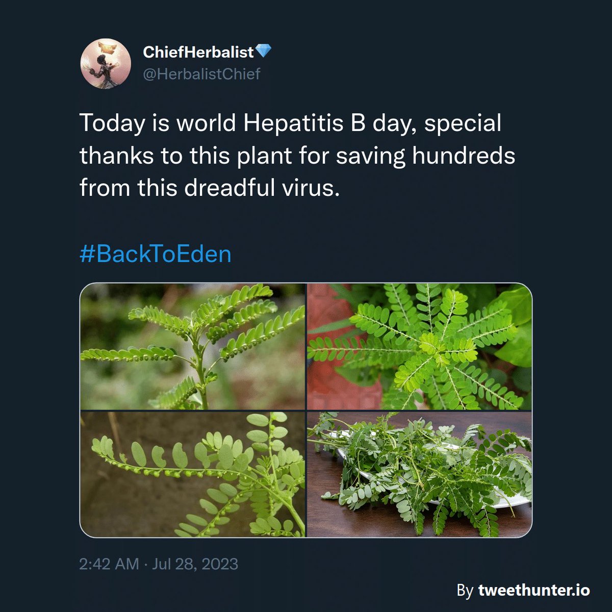 ChiefHerbalist tweet media
