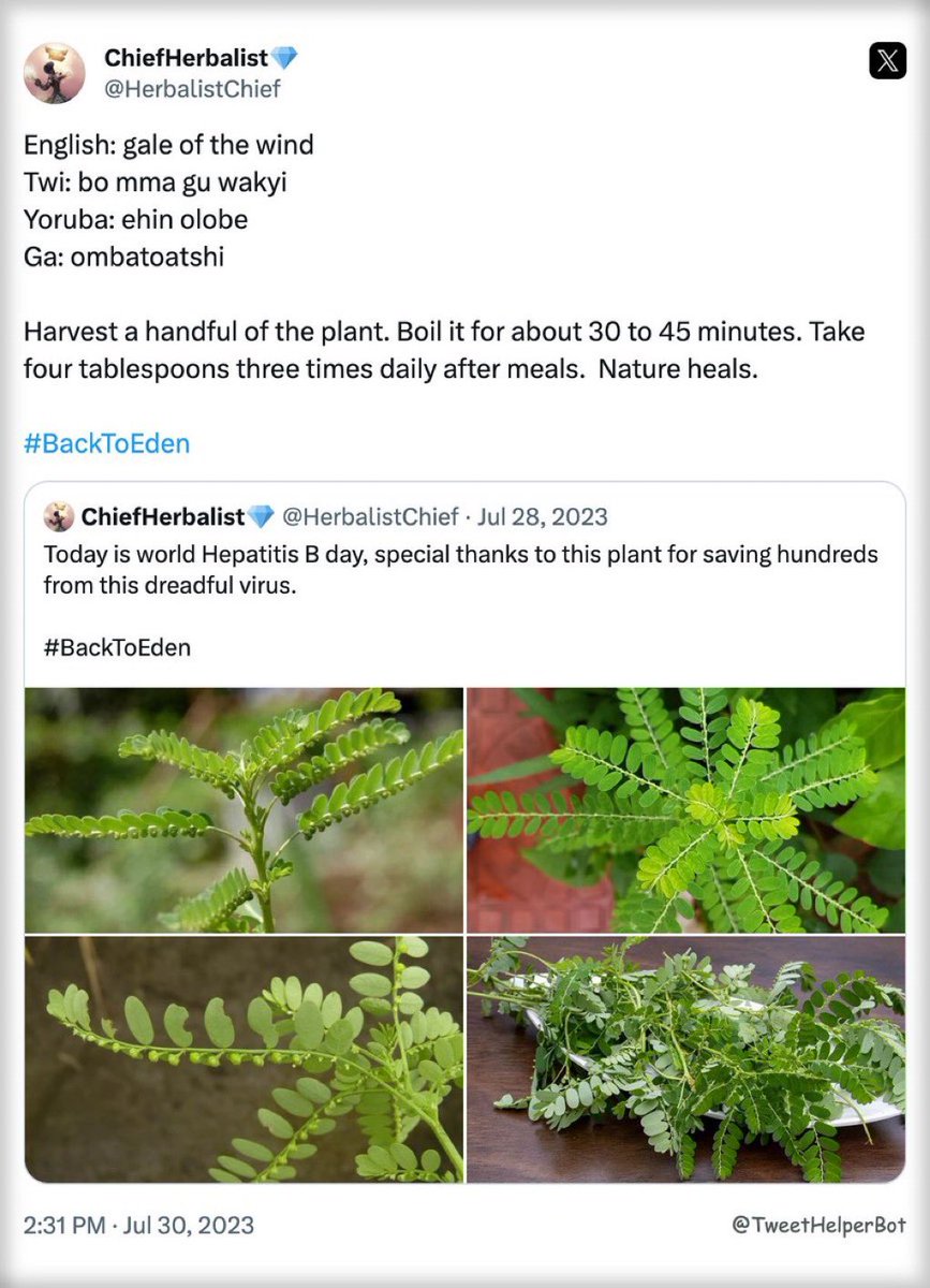 ChiefHerbalist tweet media