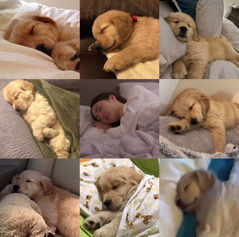 เก้ารัญชน์ tweet media