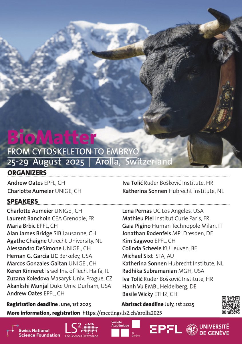 Toliclab's tweet image. Join us for this small, intensive workshop in the remote Alpine town of Arolla, where we will explore the dynamics of living systems across scales, from the cytoskeleton to embryos. Let’s dive into how cellular and tissue-scale dynamics shape life itself! meetings.ls2.ch/arolla2025