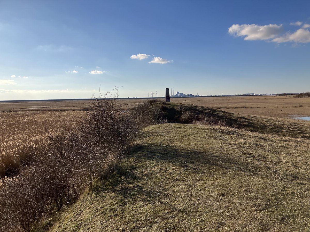 Matti Haapanen tweet media