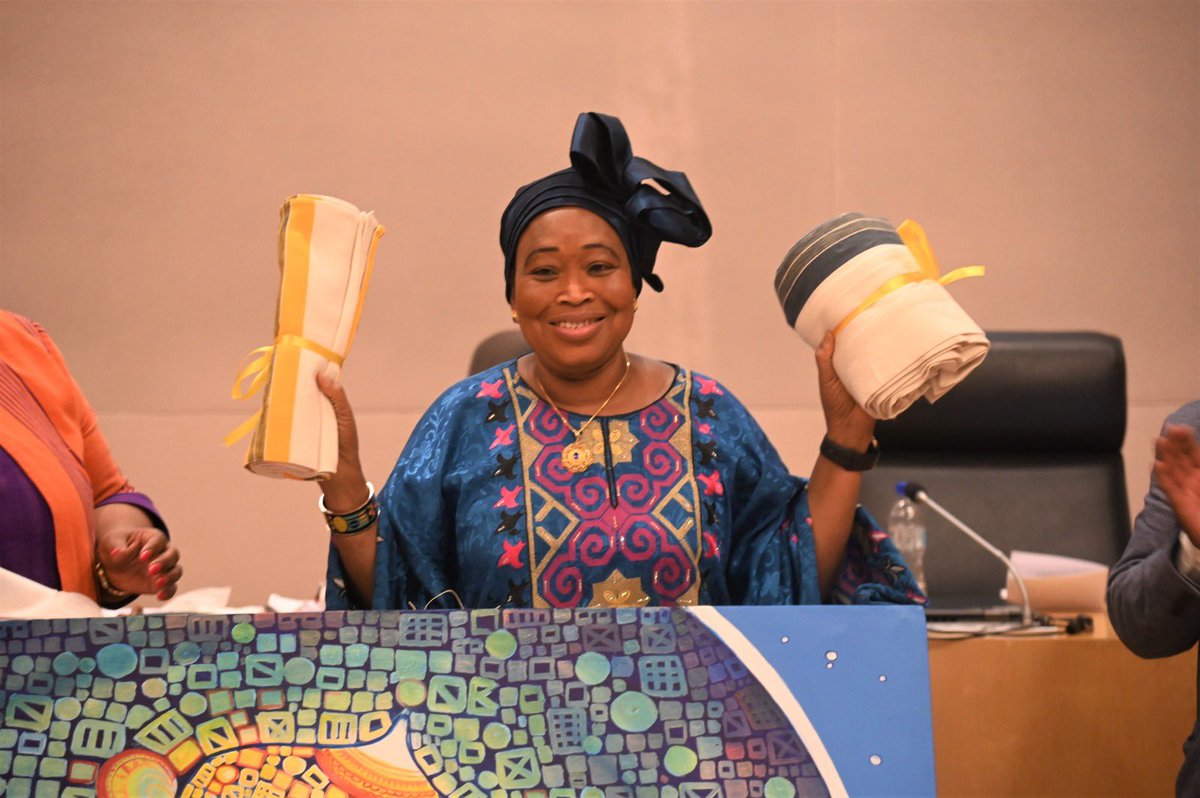 AU Health,Humanitarian Affairs&Social Development tweet media