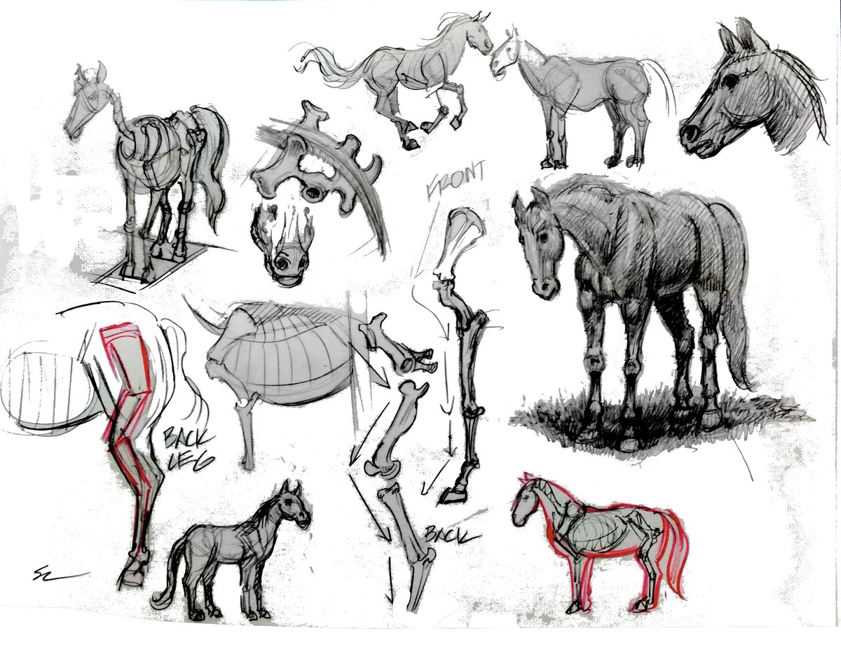 ScotCampbe1955's tweet photo. I started an #animalstudies #notebook of #sketches I am always #learning  new stuff. I lover #exploring new subjects in #art   

#animals_in_world #lions #tigers #bears #dogs #birds #horses #sketching #drawing https://t.co/1HUT3cIp5G