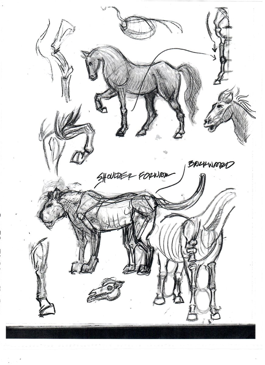 ScotCampbe1955's tweet photo. I started an #animalstudies #notebook of #sketches I am always #learning  new stuff. I lover #exploring new subjects in #art   

#animals_in_world #lions #tigers #bears #dogs #birds #horses #sketching #drawing https://t.co/1HUT3cIp5G