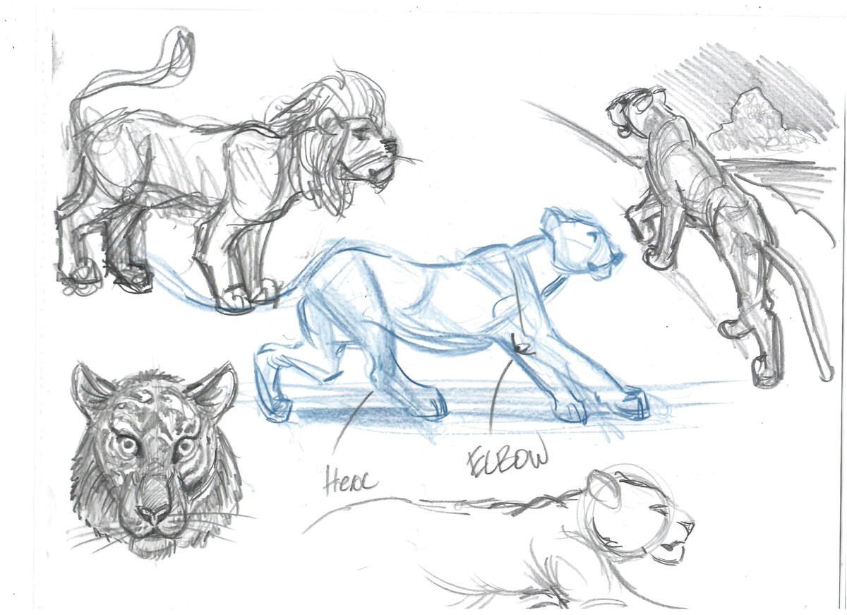 ScotCampbe1955's tweet photo. I started an #animalstudies #notebook of #sketches I am always #learning  new stuff. I lover #exploring new subjects in #art   

#animals_in_world #lions #tigers #bears #dogs #birds #horses #sketching #drawing https://t.co/1HUT3cIp5G