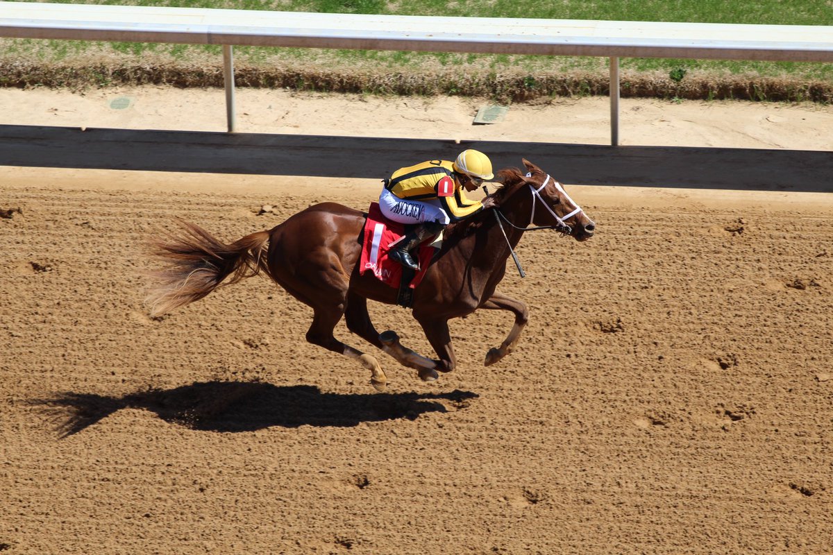 Rebel Moon takes the 2nd! <a href="/OaklawnRacing/">Oaklawn Hot Springs</a> <a href="/bradcoxracing/">Brad H. Cox Racing</a> #TeamCox <a href="/westpointtbred/">West Point Tbred</a> #Authentic <a href="/spendthriftfarm/">Spendthrift Farm</a> <a href="/JorgitoAbrego/">Jorgito abrego</a>
