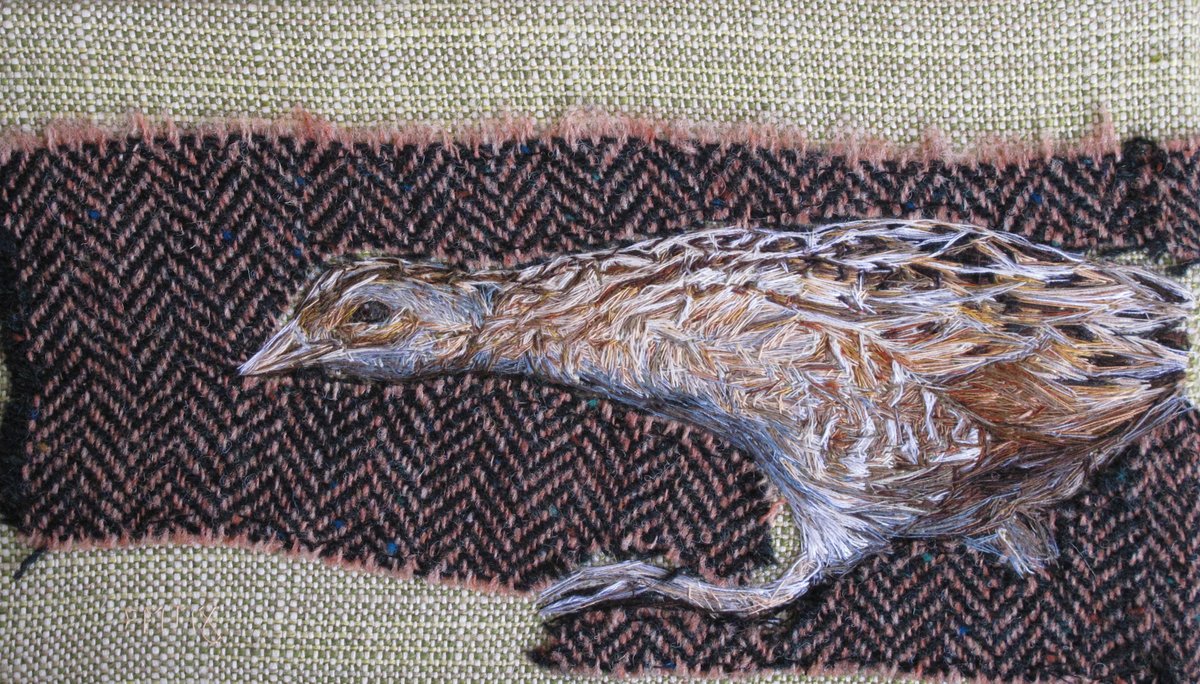 'In the landscape - Corn Crake'
bird thread painting - hand embroidery artwork, framed.
emilytull.co.uk/store/p107/cor…
#ShopIndie #birdArt