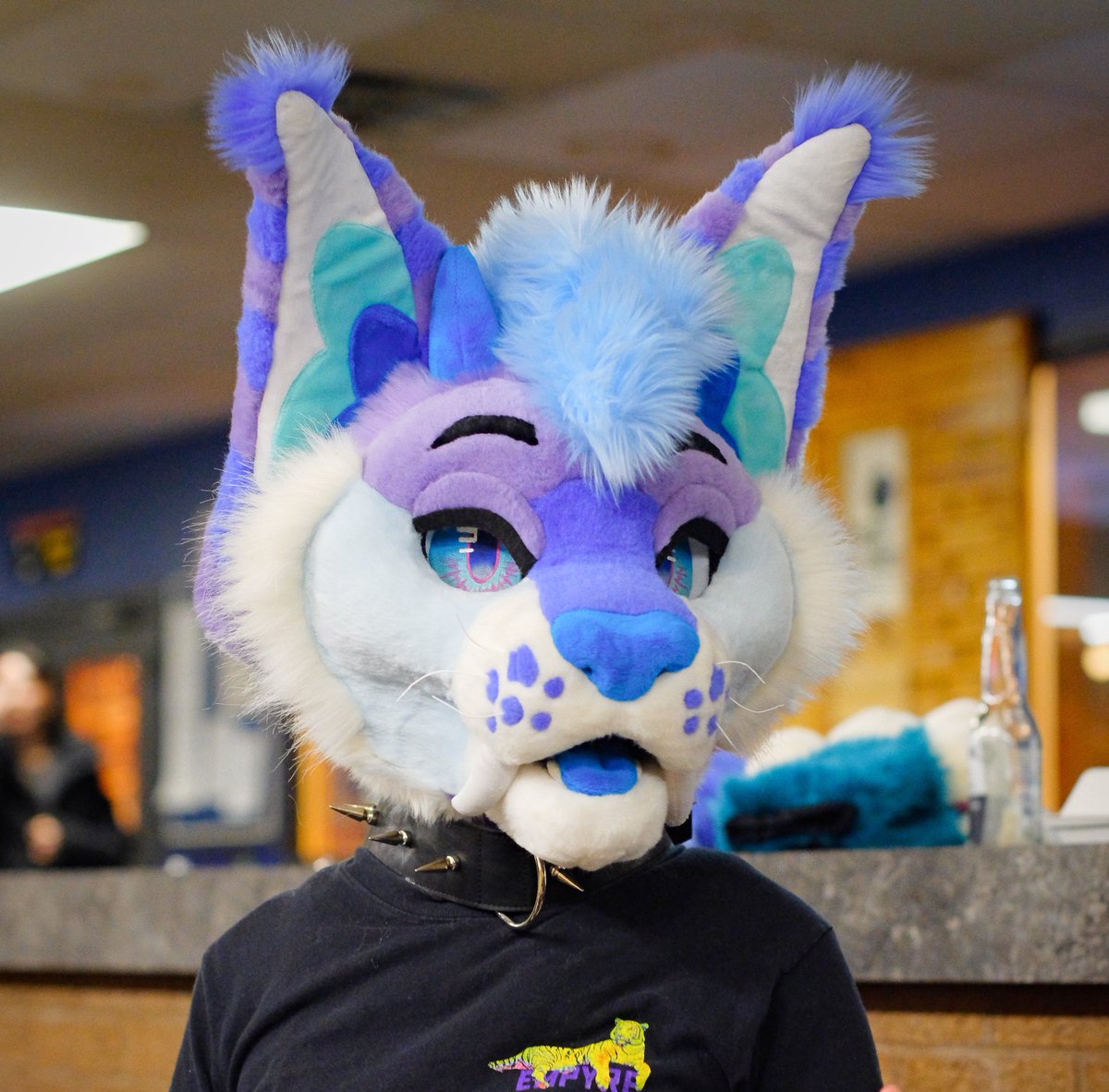 CoyotesCalling ➡️AC2025 tweet media