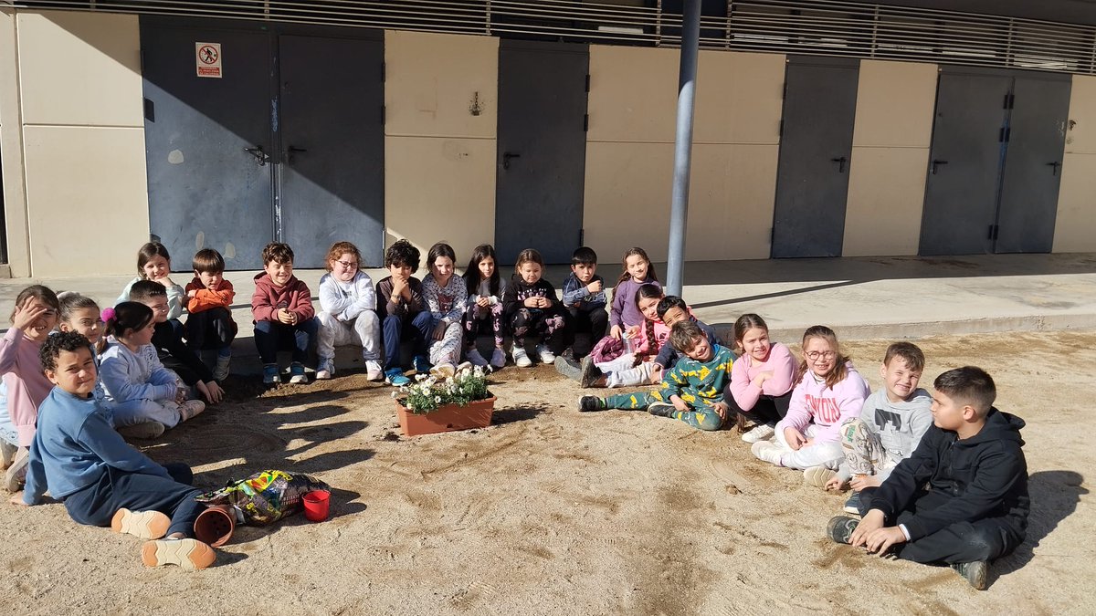 galis_esc's tweet photo. Els nens i nenes de 2n hem trasplantat unes flors a les jardineres per guarnir les finestres de la classe. 
Hem buscar informació per saber com hem de fer-ho i com cuidar les nostres plantes. 

Mireu què boniques han quedat!

#ManipulemPerAprendre
#AprenemDeLaNatura https://t.co/b6CLTH0fVH