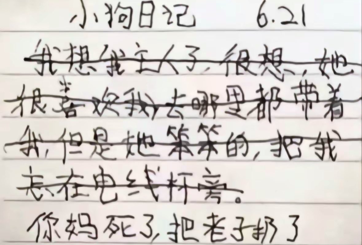 媒体预览
