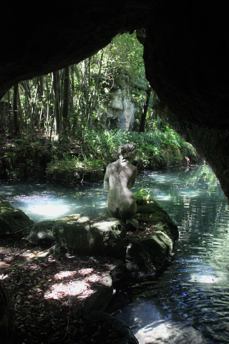 yumcarton's tweet image. 