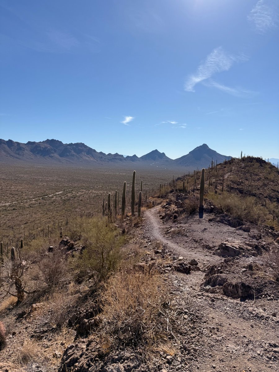 Is there anything better than a Sunday stomp about the mountain? Endlessly grateful for this Sonoran sunshine ☀️