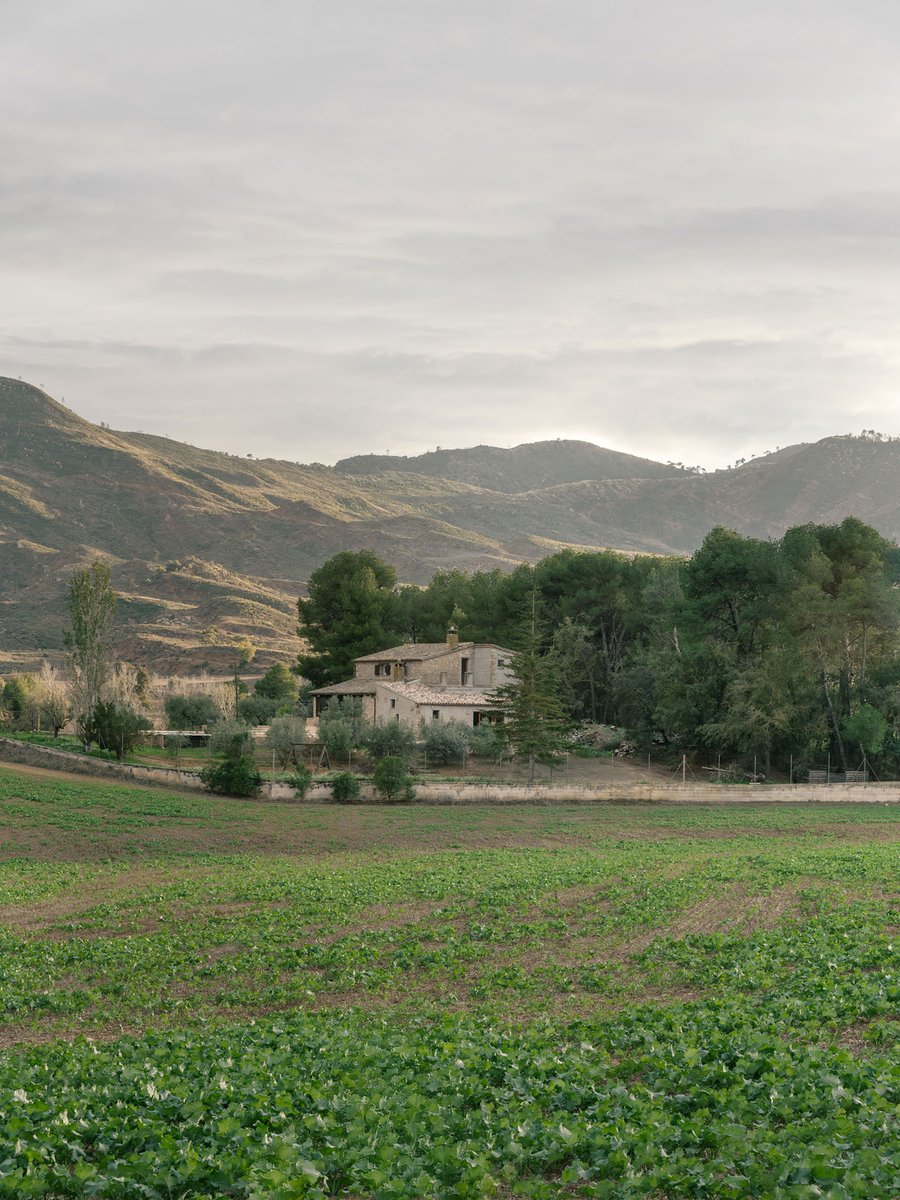 METALOCUS's tweet photo. En el Municipio de Sant Martí de Tous, a escasos kilómetros de la ciudad  de Igualada, al oeste de la provincia de Barcelona, se ubica Casa  Biaix, un proyecto del estudio de arquitectura GRAT dirigido por el arquitecto Guillem Elvira.  La masía se levanta sobre una pequeña colina en un paisaje natural  característico de la comarca de Noya, la propuesta se presenta como una  manera de entrelazar el lugar, técnicas tradicionales y modernidad.
https://t.co/xy2BFYTdKT
Reinterpretation of the farmhouse typology. Biaix House by GRAT
https://t.co/hUCe1UVnOW