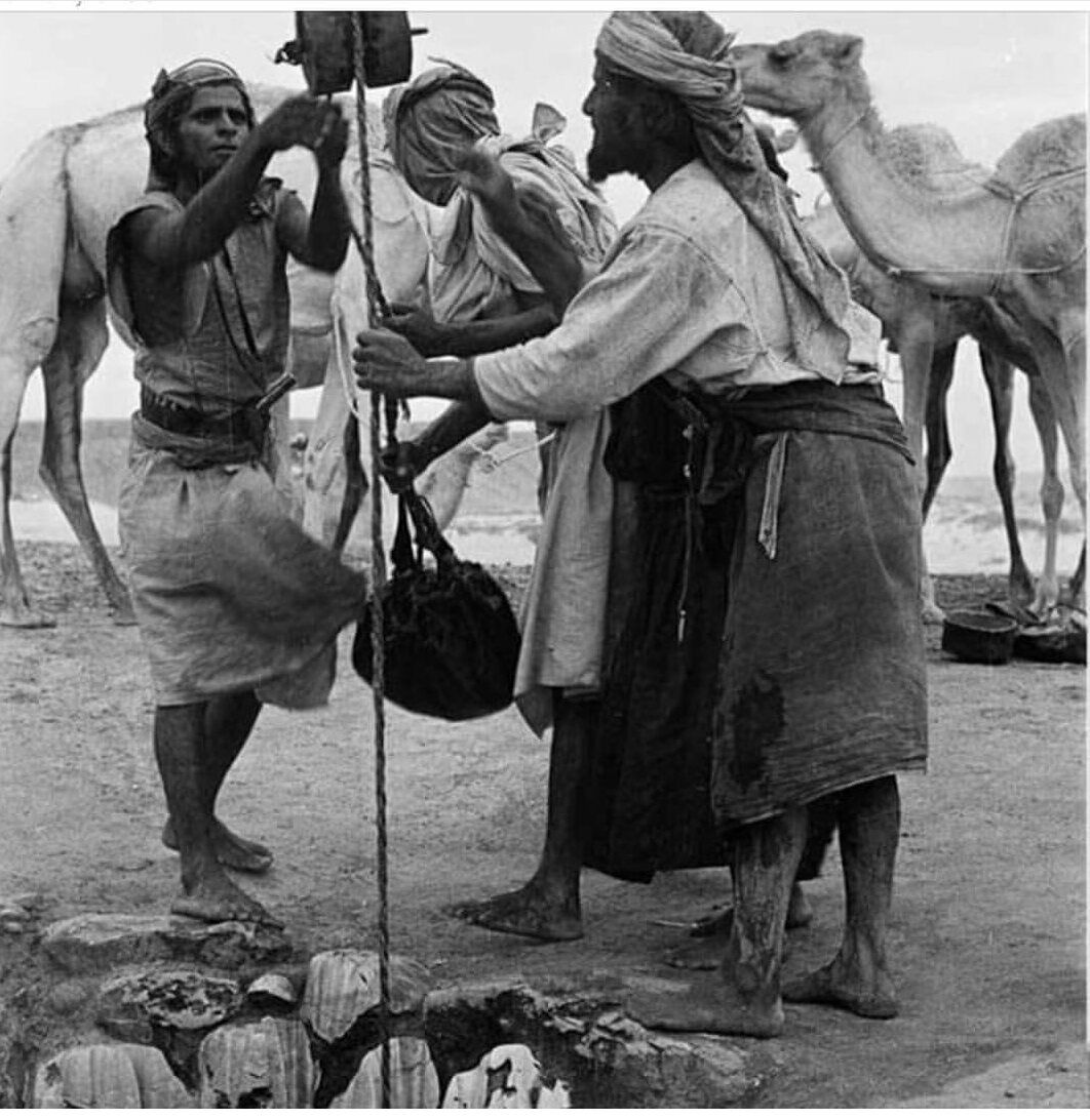 قال لبيد بن ربيعة العامري :

عَافَتَا   الْمَاءَ   فَلَمْ
 نُعْطِنْهُمَا 

 إِنَّمَا يُعْطِنُ مَنْ يَرْجُو
 الْعَلَلْ