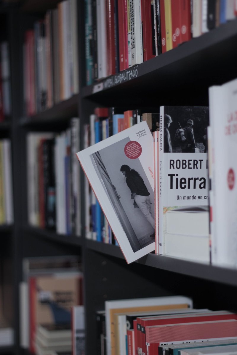 Tanyada_Ed's tweet photo. 🌿 Qui eren les dones empresonades a Khiam? Somnis d’una cel·la plena de cireres explica la seva història: resistència, repressió i solidaritat dins la presó. Disponible el 27 de març.

https://t.co/jd1INkoWHt https://t.co/BxPUyqPJjk
