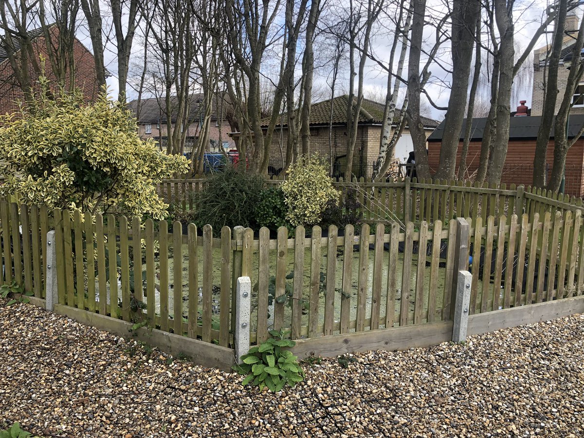 Cllr Katherine Dunne tweet media