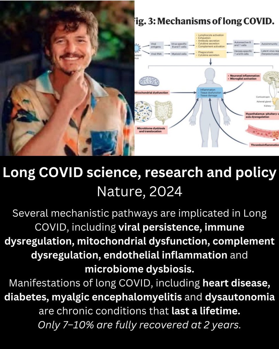 MayaLongCovid's tweet photo. More #PedroPascalPapers for #LongCovidAwarenessDay
Photo arrangement & research summaries: Maya https://t.co/n5GllulsO9