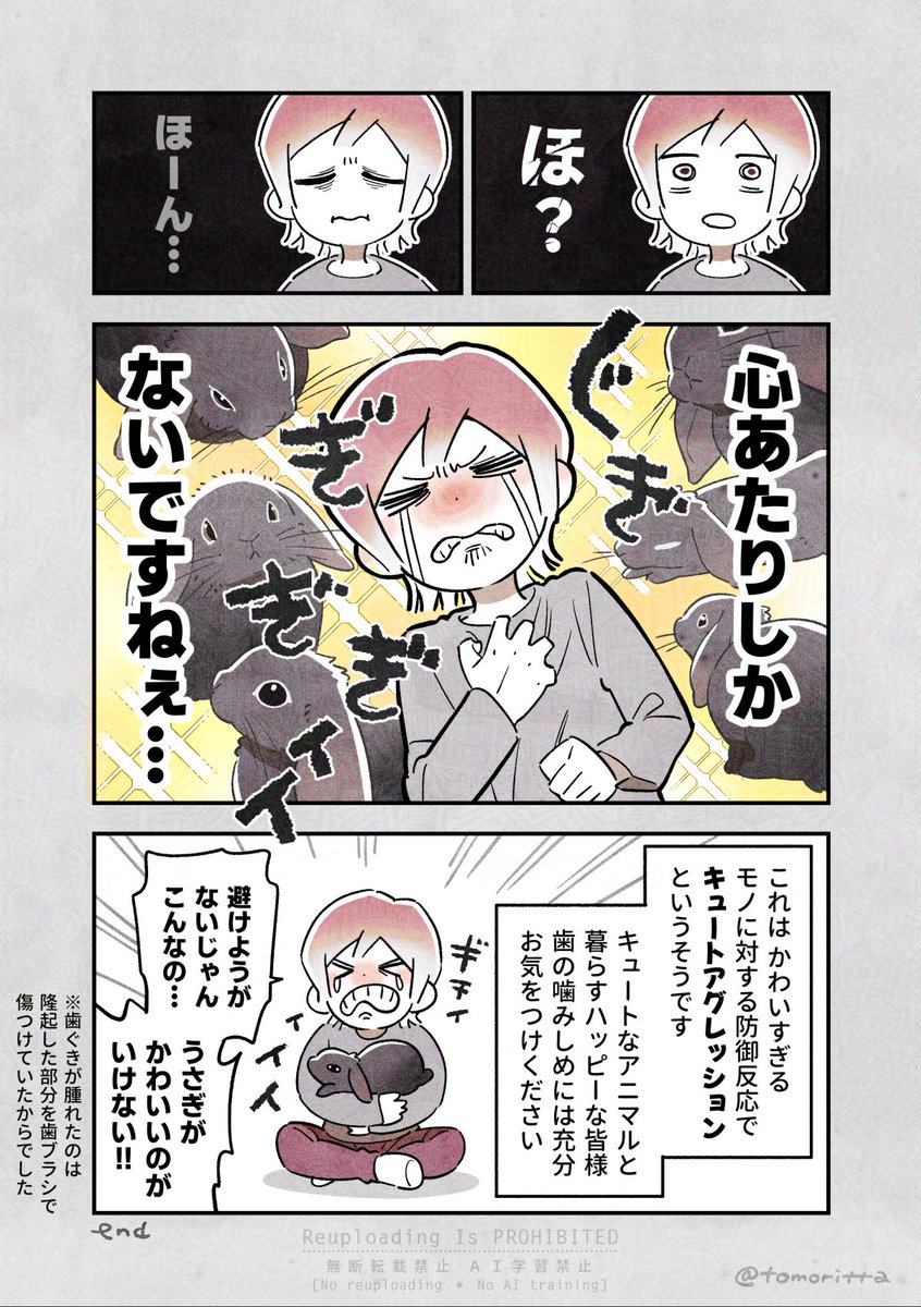 うさぎがかわいすぎて歯医者に行った話

#うさぎがいる暮らし
#漫画が読めるハッシュタグ 