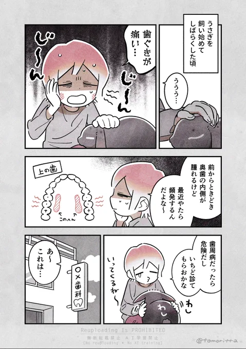 うさぎがかわいすぎて歯医者に行った話

#うさぎがいる暮らし
#漫画が読めるハッシュタグ 