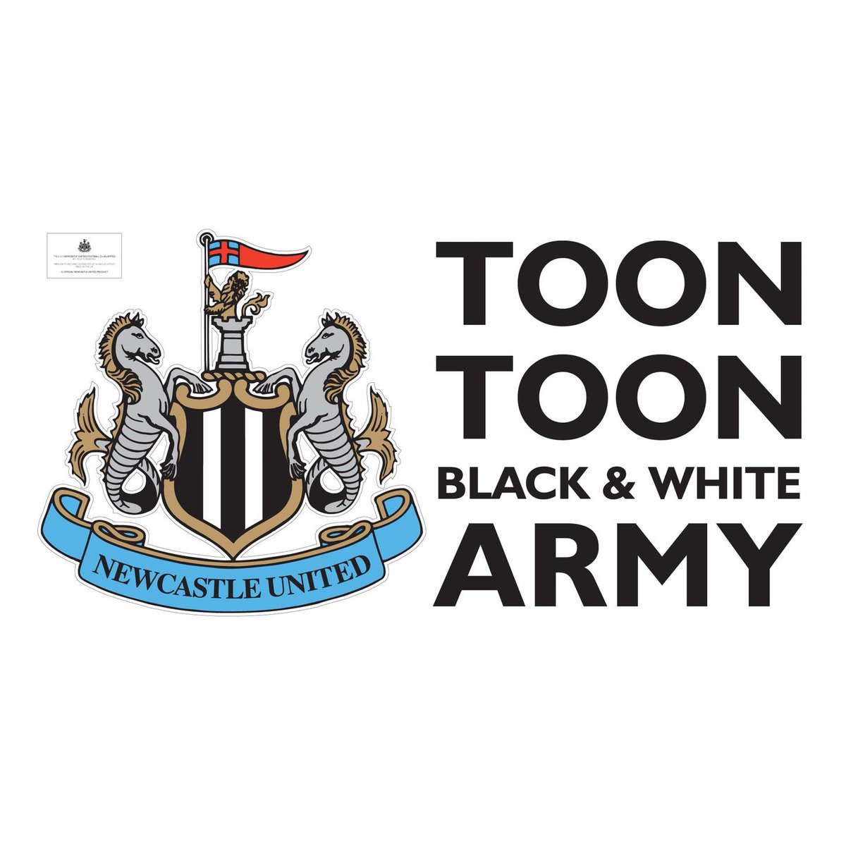 78steve29's tweet photo. #nufc https://t.co/uZI9jZdGTR