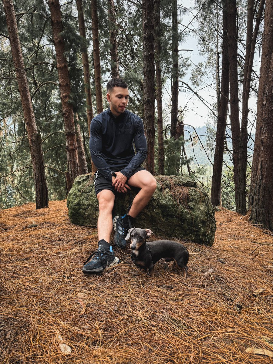 soyfonsee's tweet image. 🐶❤️‍🩹