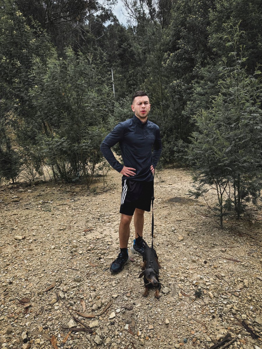 soyfonsee's tweet image. 🐶❤️‍🩹