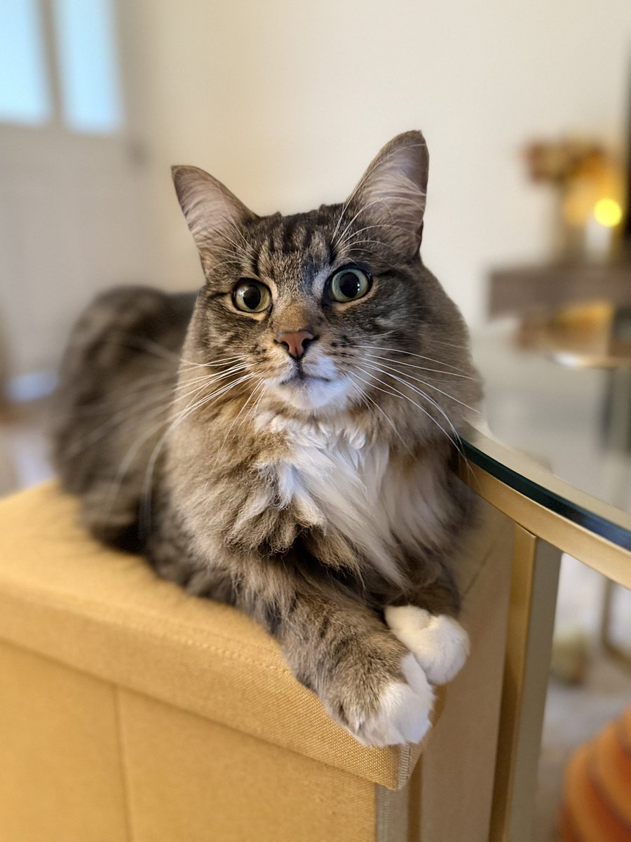 Thor tweet media
