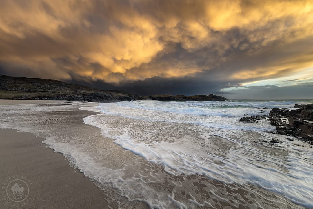 Guy Edwardes tweet media