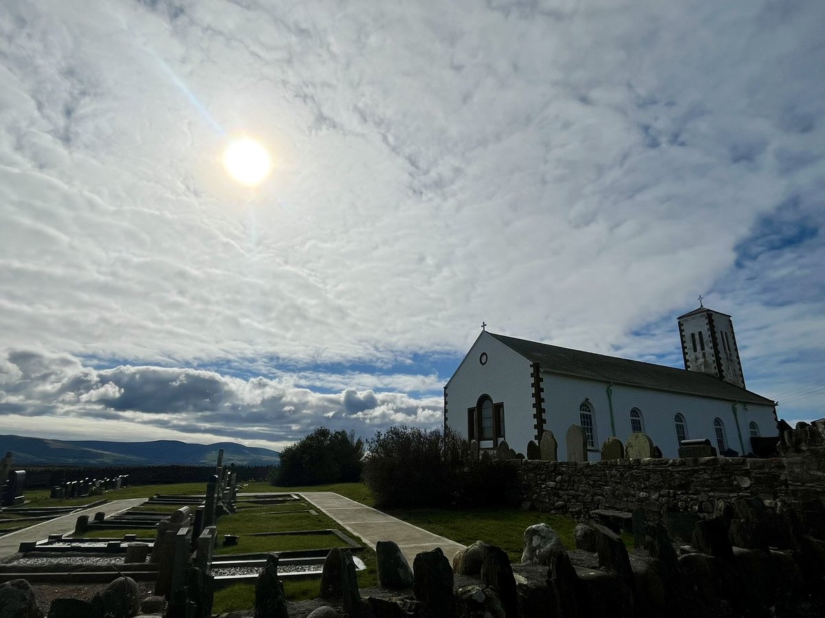 Tricia Hillas tweet media